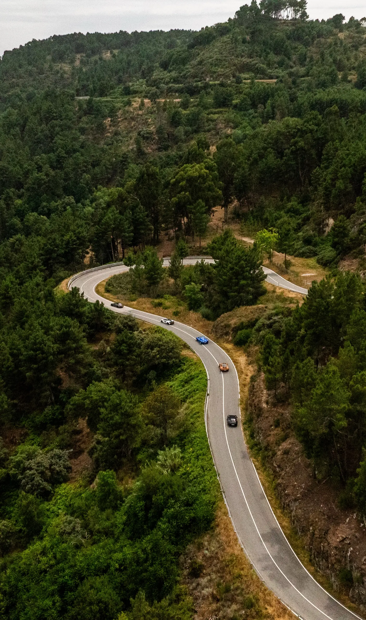 Aerial view of a convoy of supercars threading a winding forest road on a European road trip